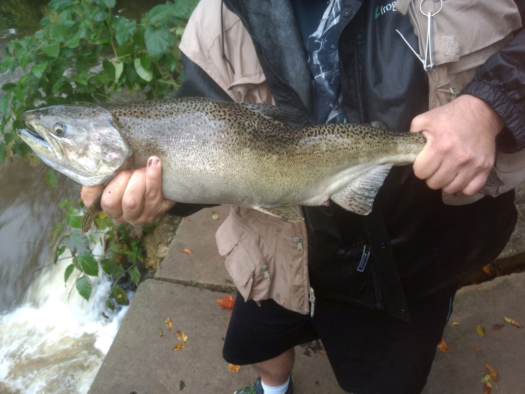 EC43347F-53A1-4B54-8E96-4E504EFAA052