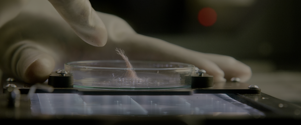 Life.2017.REMUX.1080p.BluRay.AVC.DTS-HD.MA.7.1-LEGi0N[SS]42