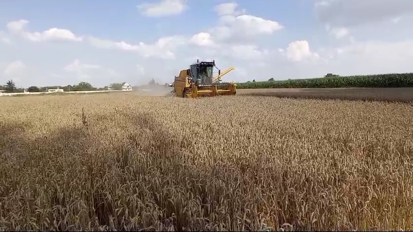 VideoCapture_20240724-052300