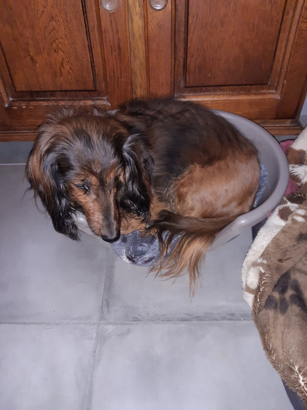 [Image: 20210217-064539.jpg]