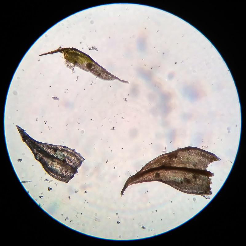 IMG 20250615 222005 HDR