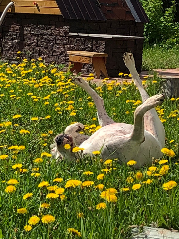 BD5C1988-EEF7-4F9E-9A85-0294E1AA6564