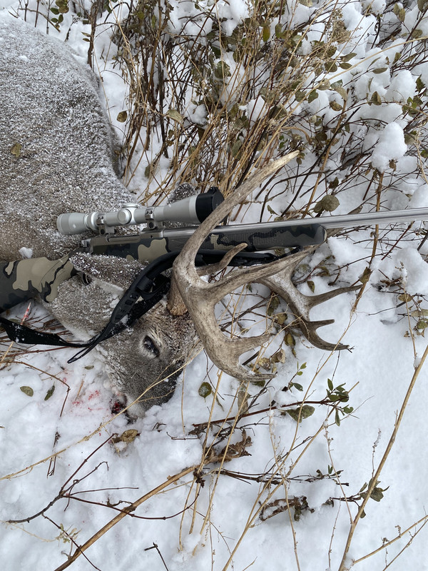 058CF7AD-2D3E-41EC-8541-E2B251CB7D81