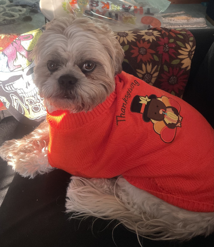 12-CA5313-C993-44-D0-A6-A0-A0-C0-C53-C2532-1-201-a