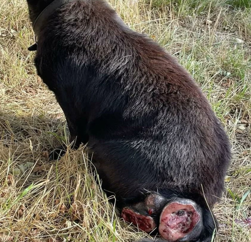 EBC319E9-E42B-4772-ADBF-685B6E92573F