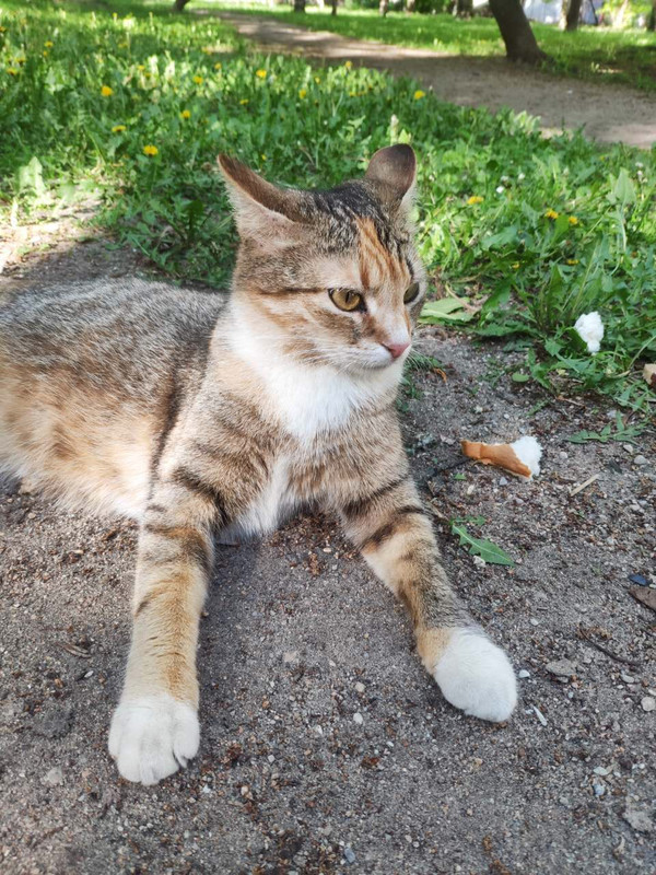 FB8FBDA4-B841-4661-B229-DFB72C5E49AE