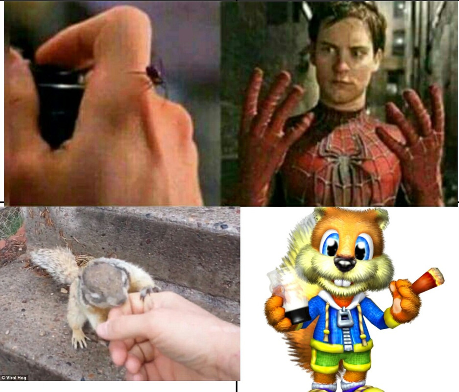 580613e5e813c.jpg