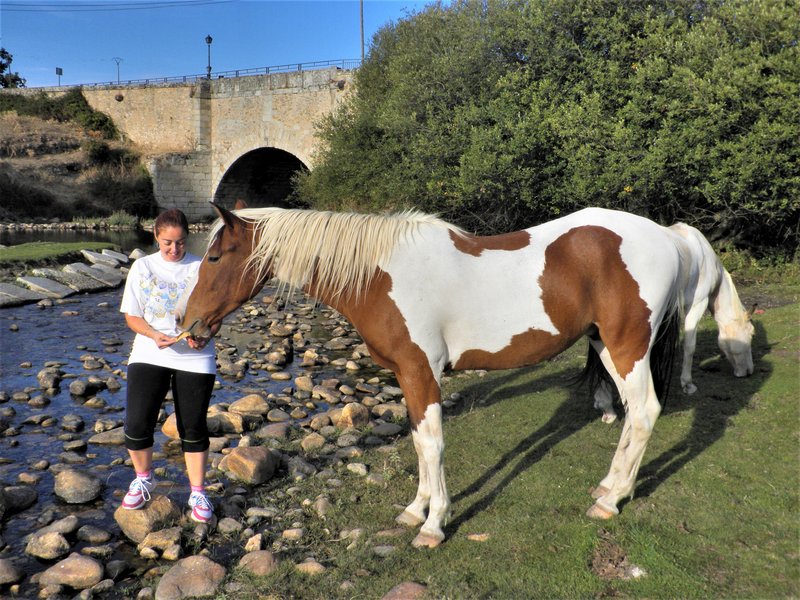 LA PRADERA DE NAVALHORNO O VALSAIN-28-9-2011-SEGOVIA - Paseando por España-1991/2015-Parte-1 (12)