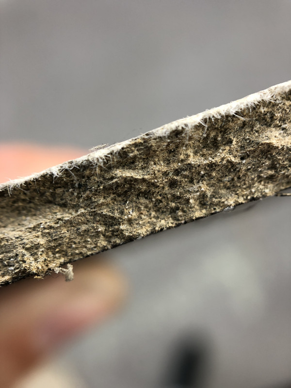 5CF7B975-0399-46DA-8A08-362AB2FE15E1