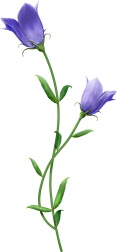 0_1c0bd4_92ad3f28_orig