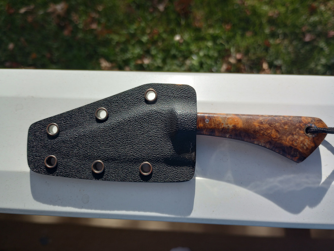 IMG_20231120_122926309_HDR