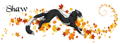 https://i.postimg.cc/6qck971k/Etoile-Filante-automne-actu.png