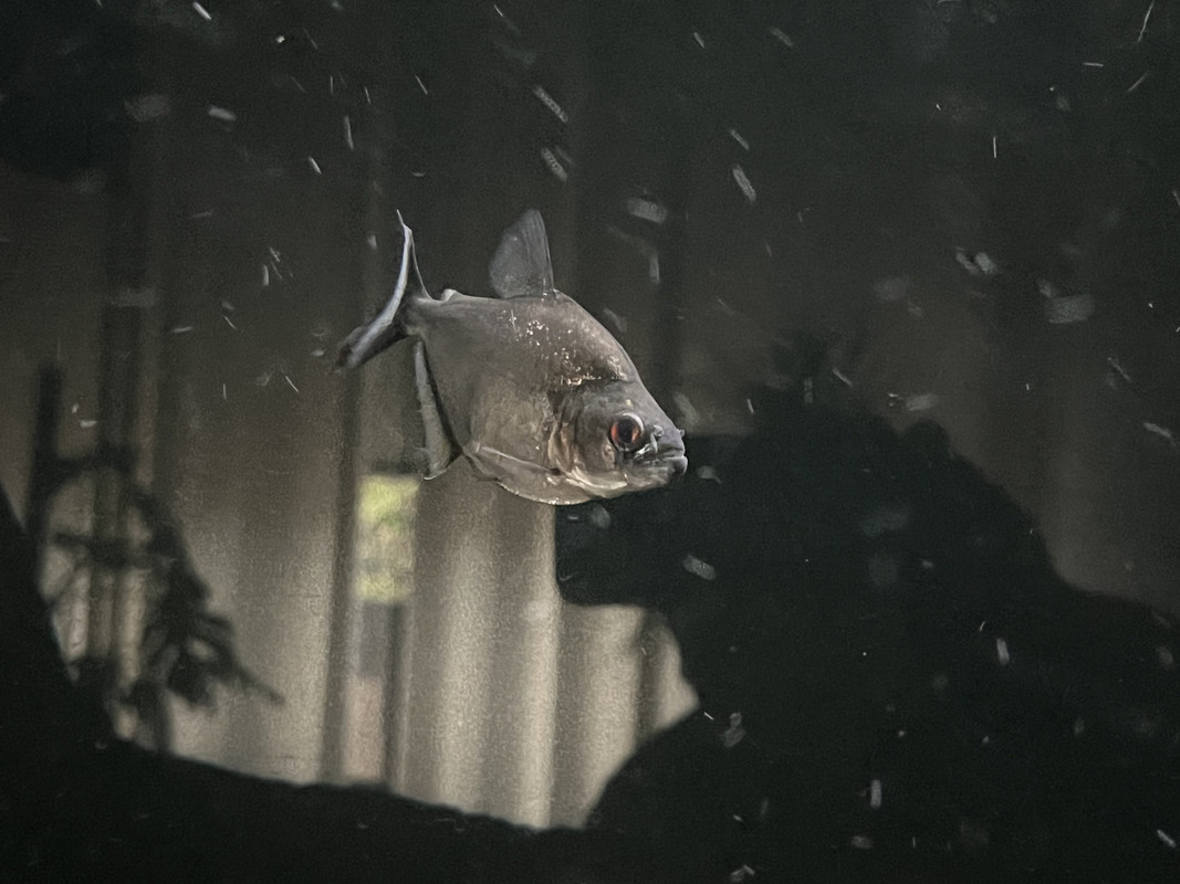 C4E2CA01-4067-4EE8-B800-142232C95469