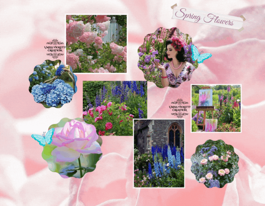 spring6-DID