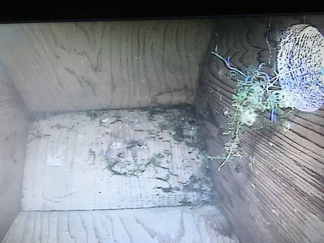 079048C4-E64A-4B6F-BEF8-4920723DA1FD