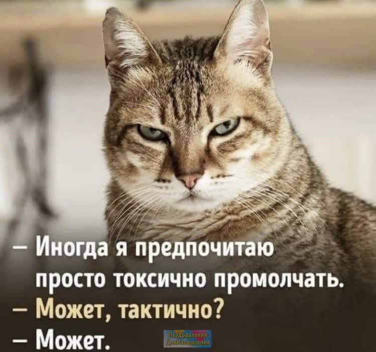 7D7B1D54-DE9F-426F-ADF9-611FF0F92762