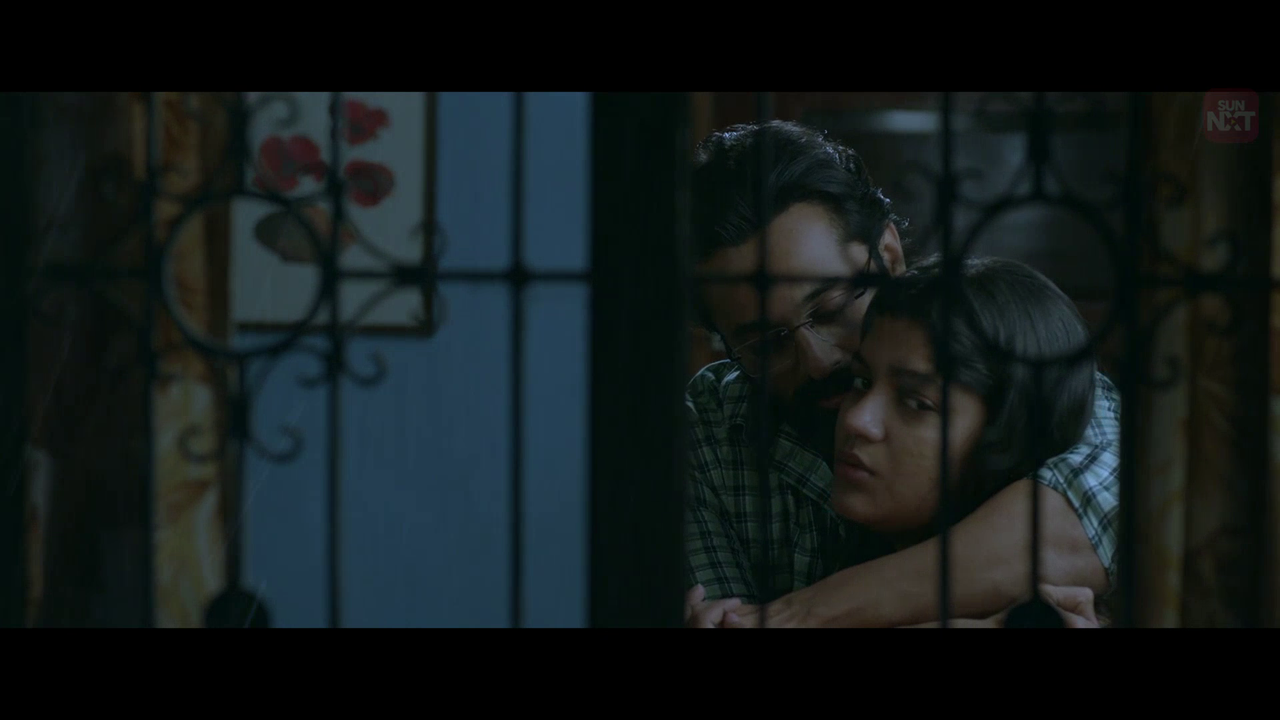 vlcsnap 2026 02 11 15h28m46s249