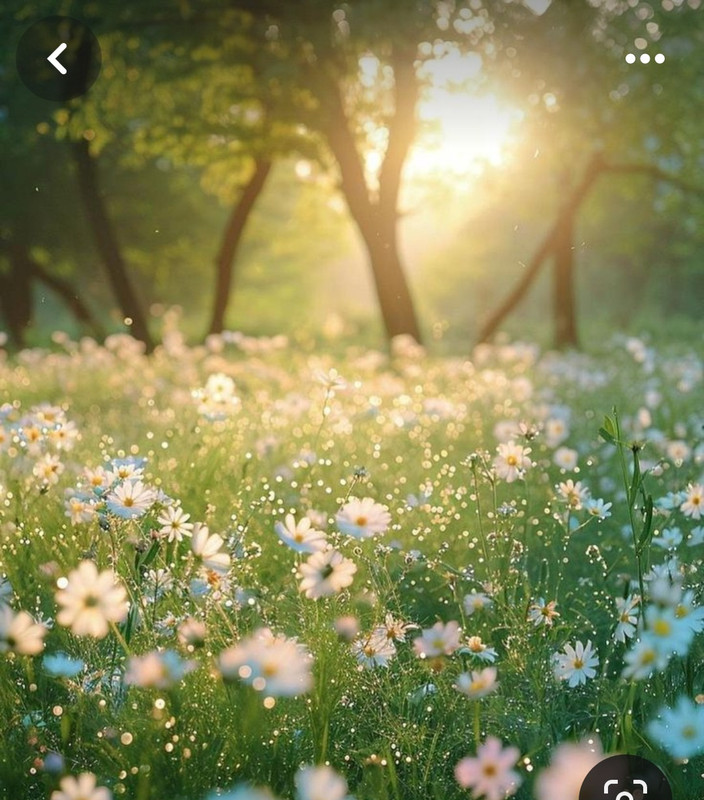 Screenshot_20240325_233214_Pinterest