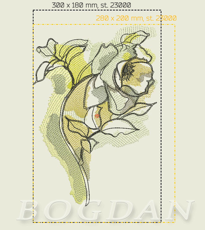 2_размер_bogdan