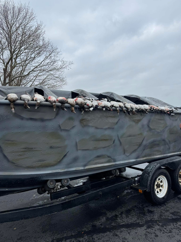 Waterfowl Hunting