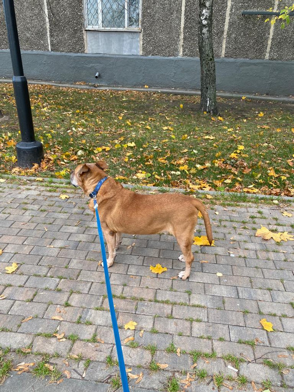 D7B05A79-193C-4894-8E6D-4A845CE1296D