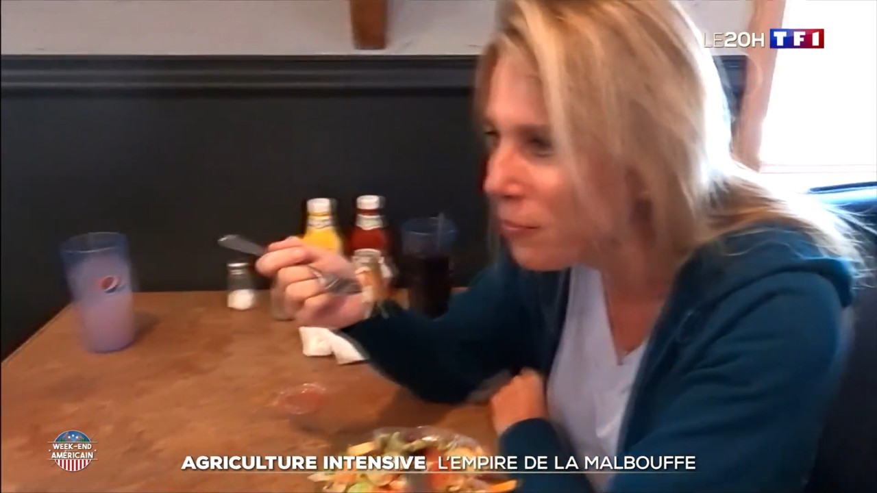 2020-10-24_20_00_TF1_Le-20h.mp4_snapshot_41.04.903