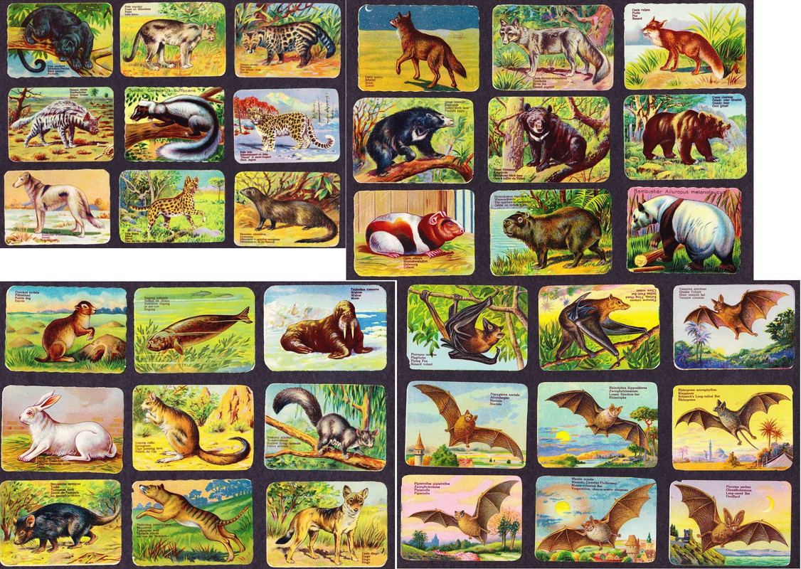 вкладыши (10)_новый размер