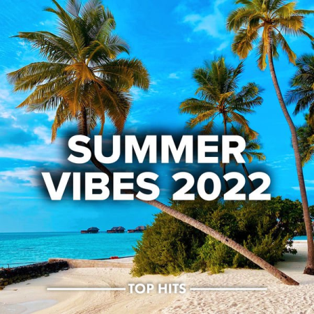 54d1876a 762e 4027 a482 2568be32f482 - VA - Summer Vibes 2022 (2022)