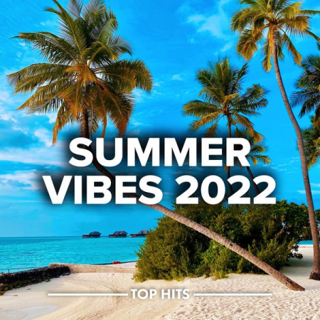 VA - Summer Vibes 2022 (2022)