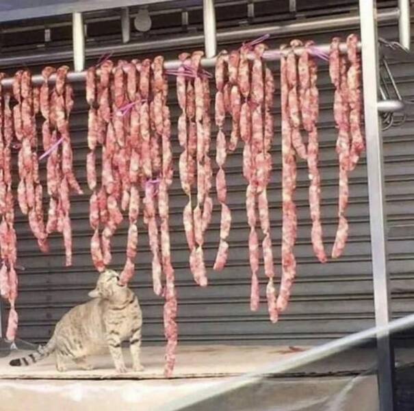 daily-picdump-21-5.jpg