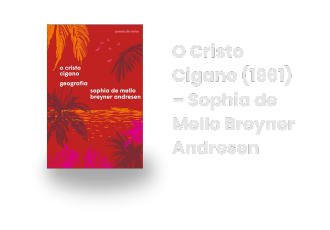 Imagem 5