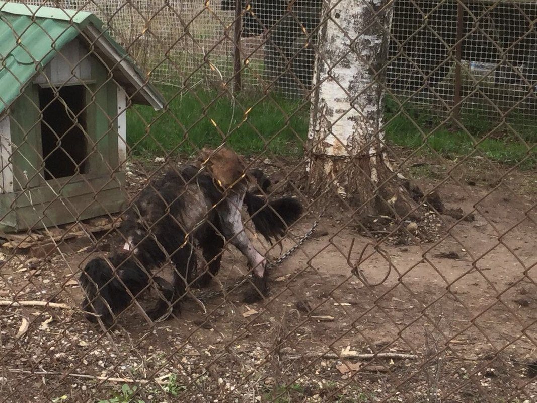 5A4EC596-FC5A-47E3-A621-BE585368DB57