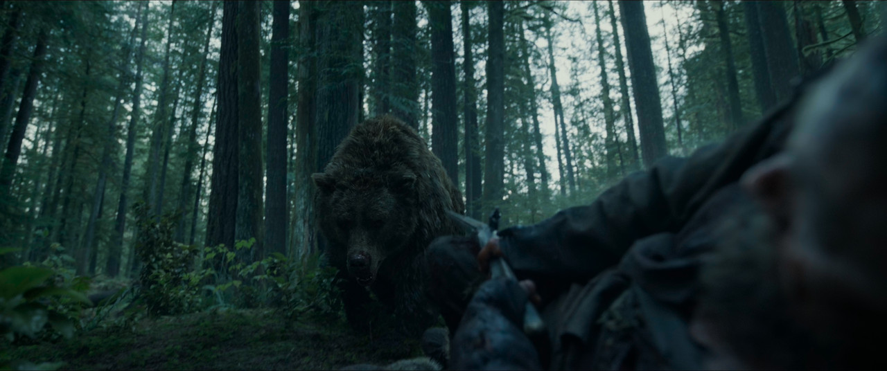 The Revenant (2015) (2160p Blu Ray x265 10bit HDR Tigole) mkv snapshot 00 27 05 040