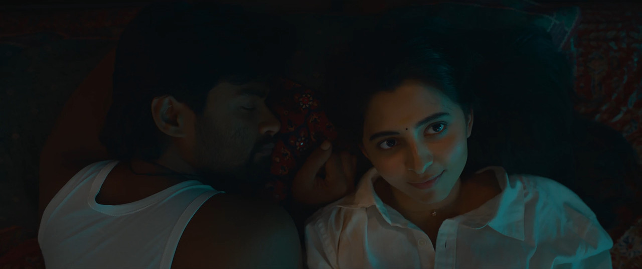 29 Movie 2026 WebRip [Hindi + Tamil + Telugu + Malayalam + Kannada] 1080p 480p 720p ESub Screenshot