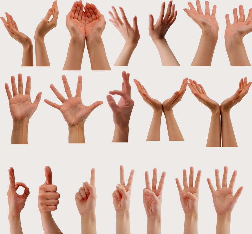 Conjuntos de manos realizando diversos gestos