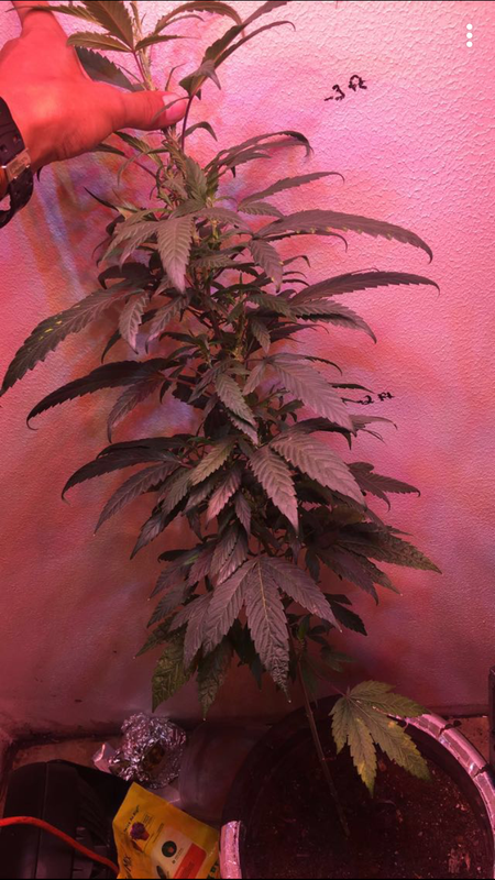 4D8C26ED-4330-4FDB-A83E-F2E450C5CF82