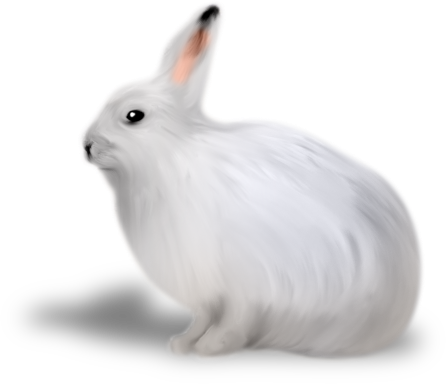 WINTER LOVE_DBJ-ELEM (7)