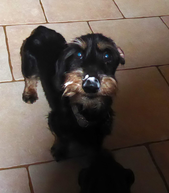 [Image: P1030176.jpg]