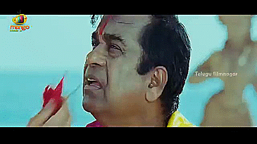 brahmi_chevilopuvvu_flower.gif