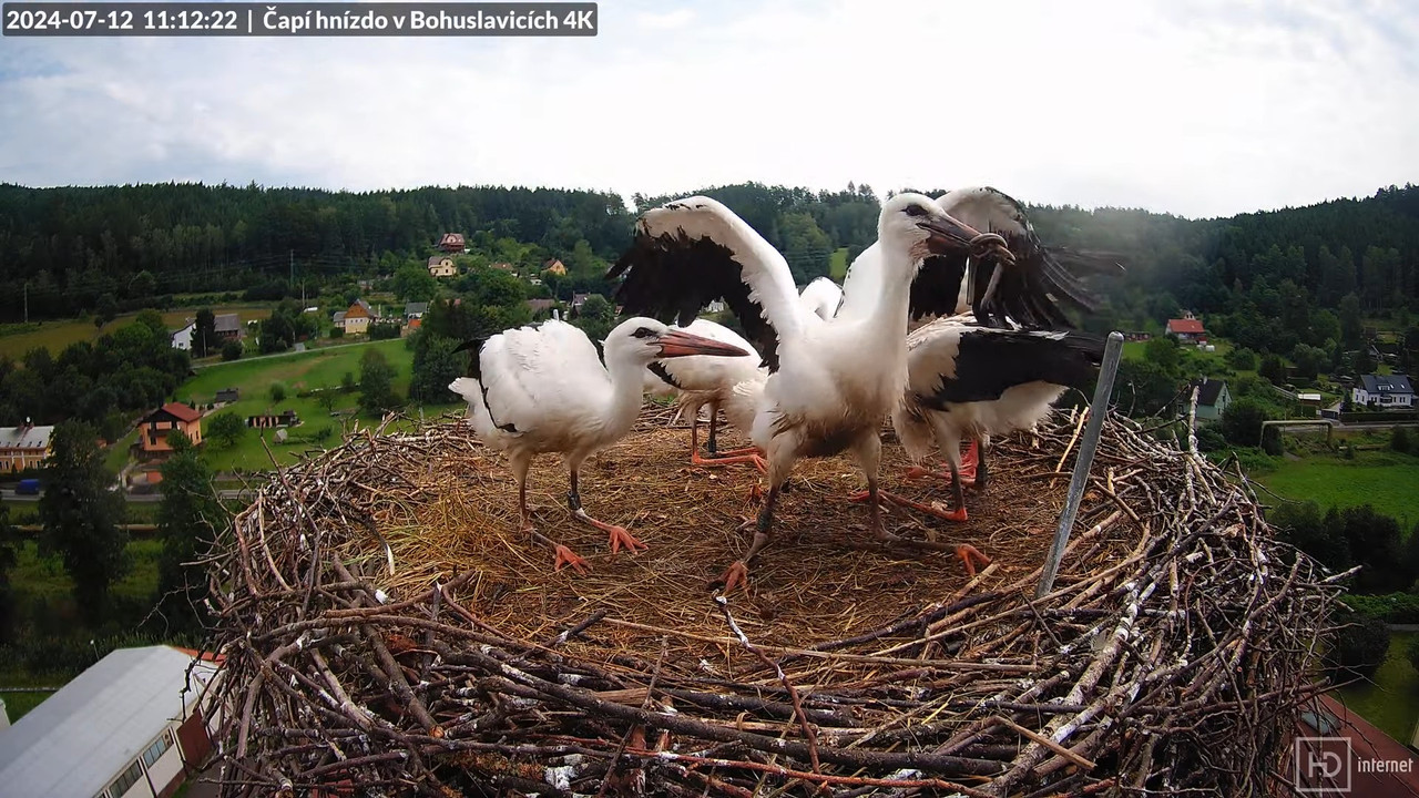 Tiešraidē no uzņēmuma KARA stārķa skursteņa Bohuslavicē pie Trutnovas 12-33-32 screenshot