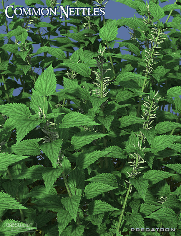 00 main predatron common nettles daz3d