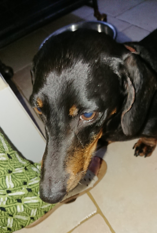 [Image: 20240820-222148.jpg]