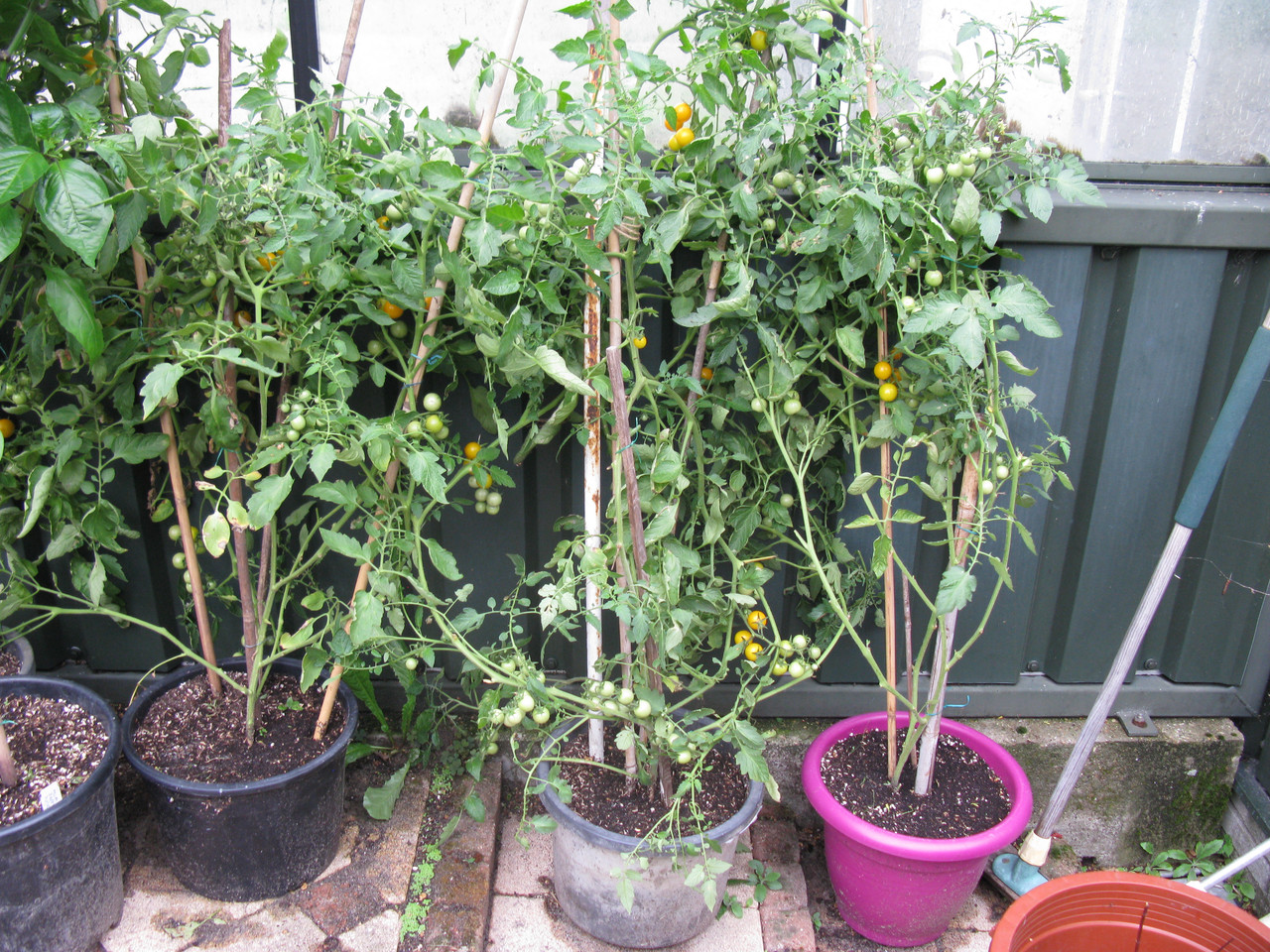 IMG-4560.jpg
