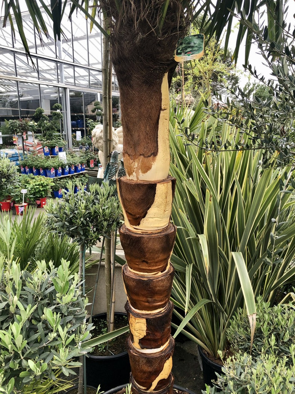 03CC9444-DD4E-4BB8-AD7C-B2ABE381D942