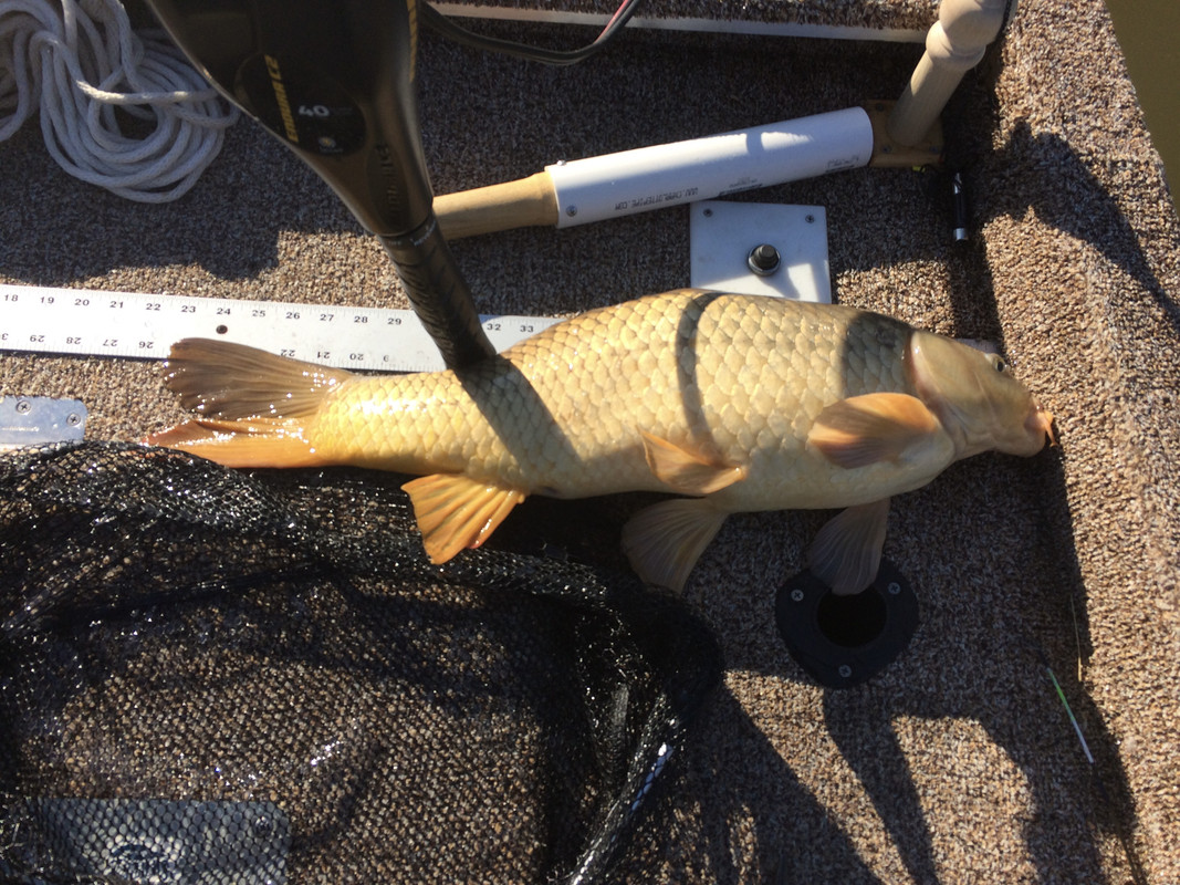 BDA3907B-D696-48FE-8ADD-1C7F0E5C4180