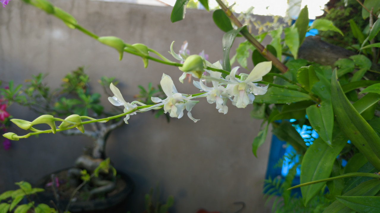 LMC-20240913-075422-lmc-8-4