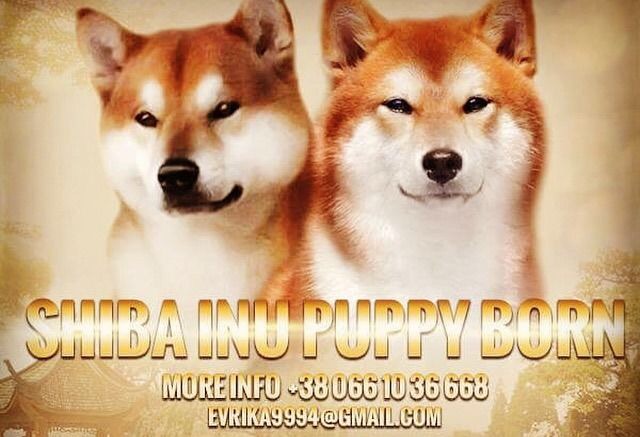 DF64CC2B-C4BE-45CC-8747-51891862F7BF