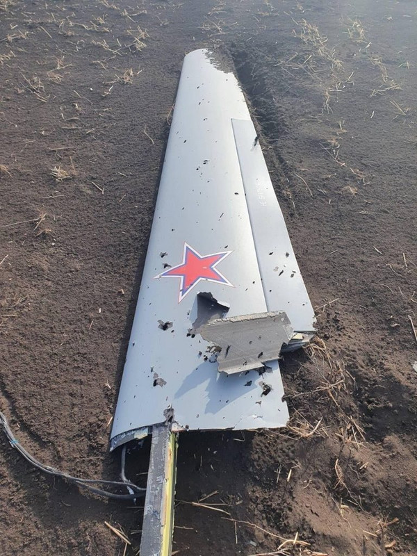 1-7-768x1024.jpg