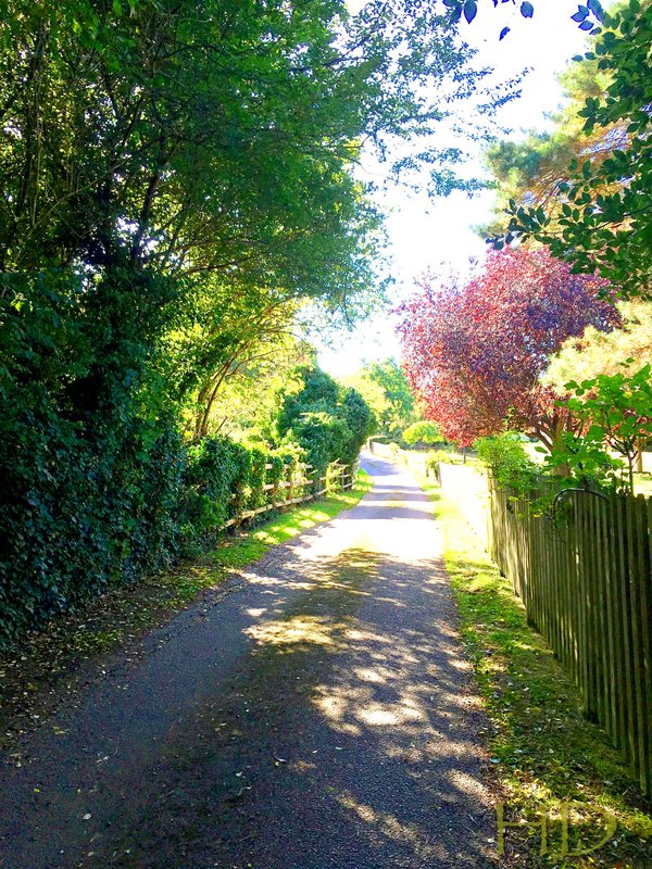 Our-pathway-september.jpg