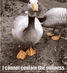 9b41bd80de874094c70efd92ad54b68df134d059f40620bc.gif